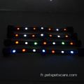 Collier de tête de cheval léger à LED de haute qualité de haute qualité